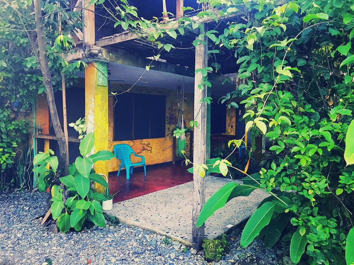 Dive And Green Capurgana Exterior photo